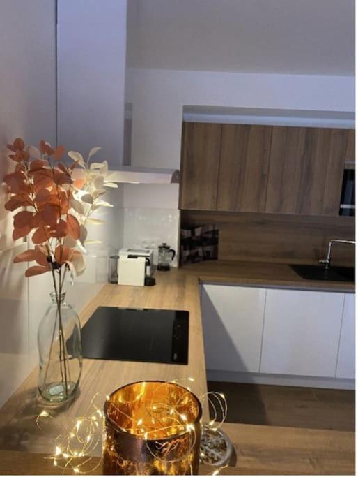 Le Doux Meleze Apartman Saint-Chaffrey Kültér fotó